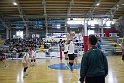 European Schools' Gala 2014 International Tournament for High Schools VOLLEYBALL GIRLS