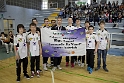 European Schools' Gala 2014 Report