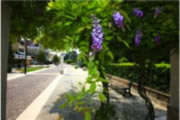 Abano_Terme