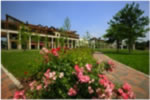 parco_urbano_termale