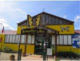Butterfly_Arc-the 